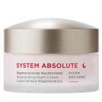 ANNEMARIE BÖRLIND SYSTEM ABSOLUTE Anti-Aging Regenerierende Nachtcreme